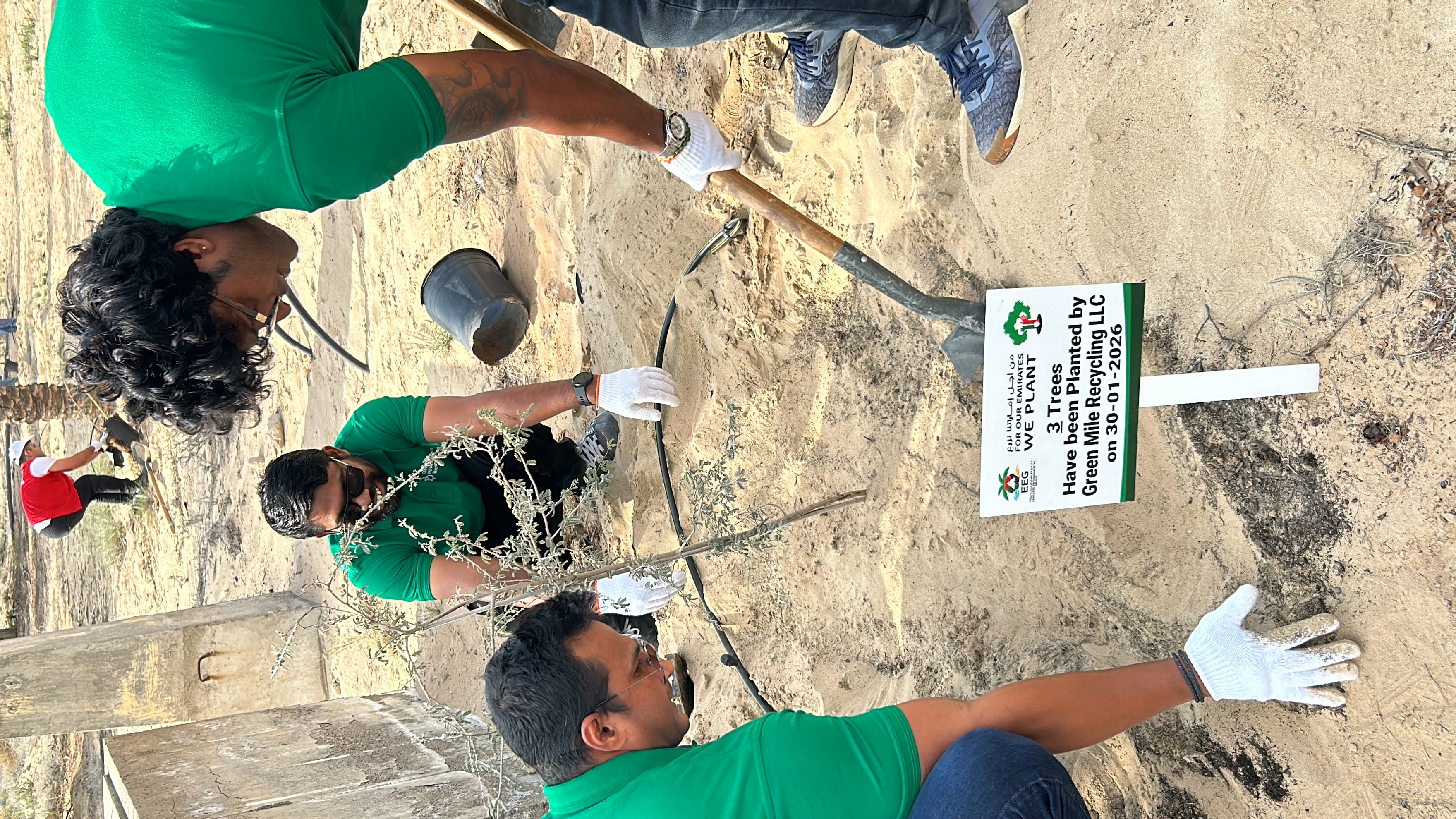 Tree Planting 1